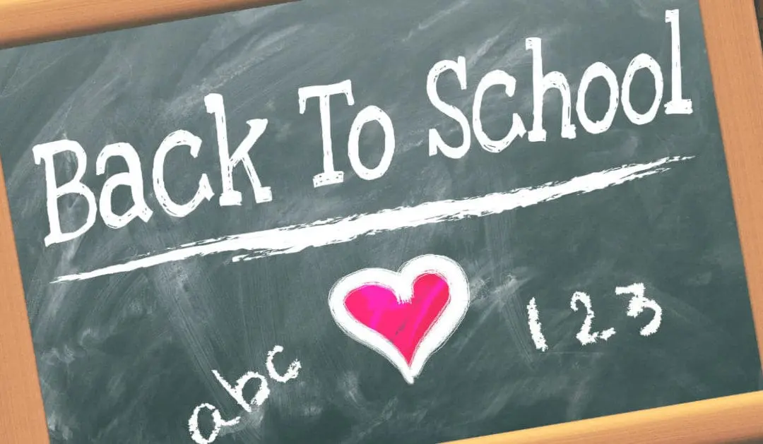 Back to School – 4 Ways to Access Affordable Professional Development